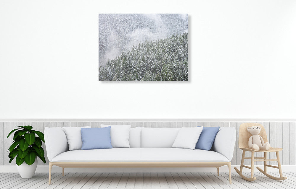 Snowy Trees Wall Art Print on the wall