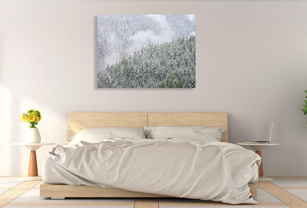 Snowy Trees Wall Art Print on the wall