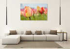 Spring Sherbet Wall Art Print on the wall