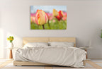 Spring Sherbet Wall Art Print on the wall