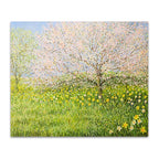Springtime Landscape 