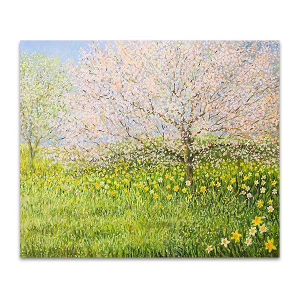 Springtime Landscape 