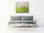 Springtime Landscape 