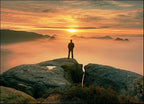 Standing Alone Wall Art Print