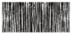 Starkly Lined D Wall Art Print