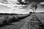 Stone Wall Wall Art Print