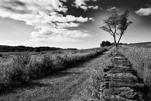 Stone Wall Wall Art Print