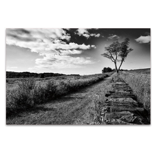 Stone Wall Wall Art Print