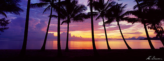Sunrise Palm Cove Wall Art Print