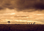 Sunset Queensland Australia Wall Art Print