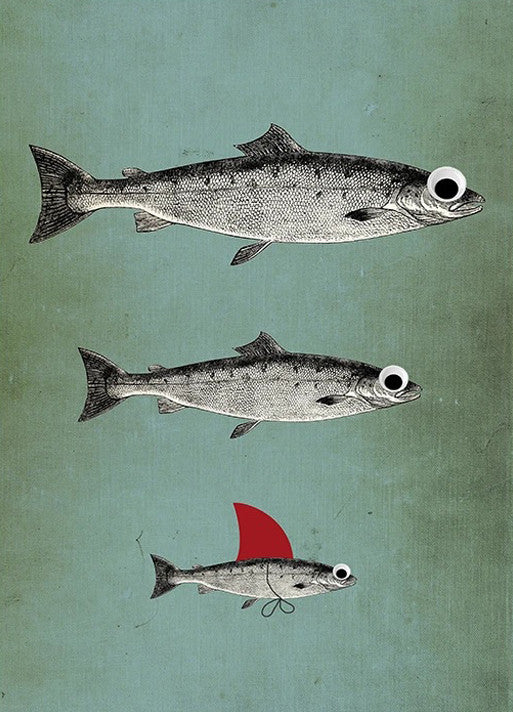 Surviving Fish Wall Art Print