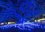 Sydney Light Festival Wall Art Print