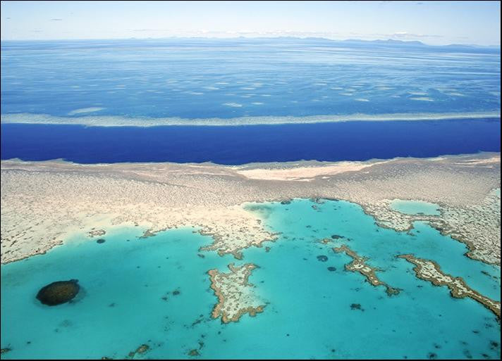 Great Barrier Reef Australia Wall Art Print