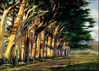 The Hedge Row Wall Art Print