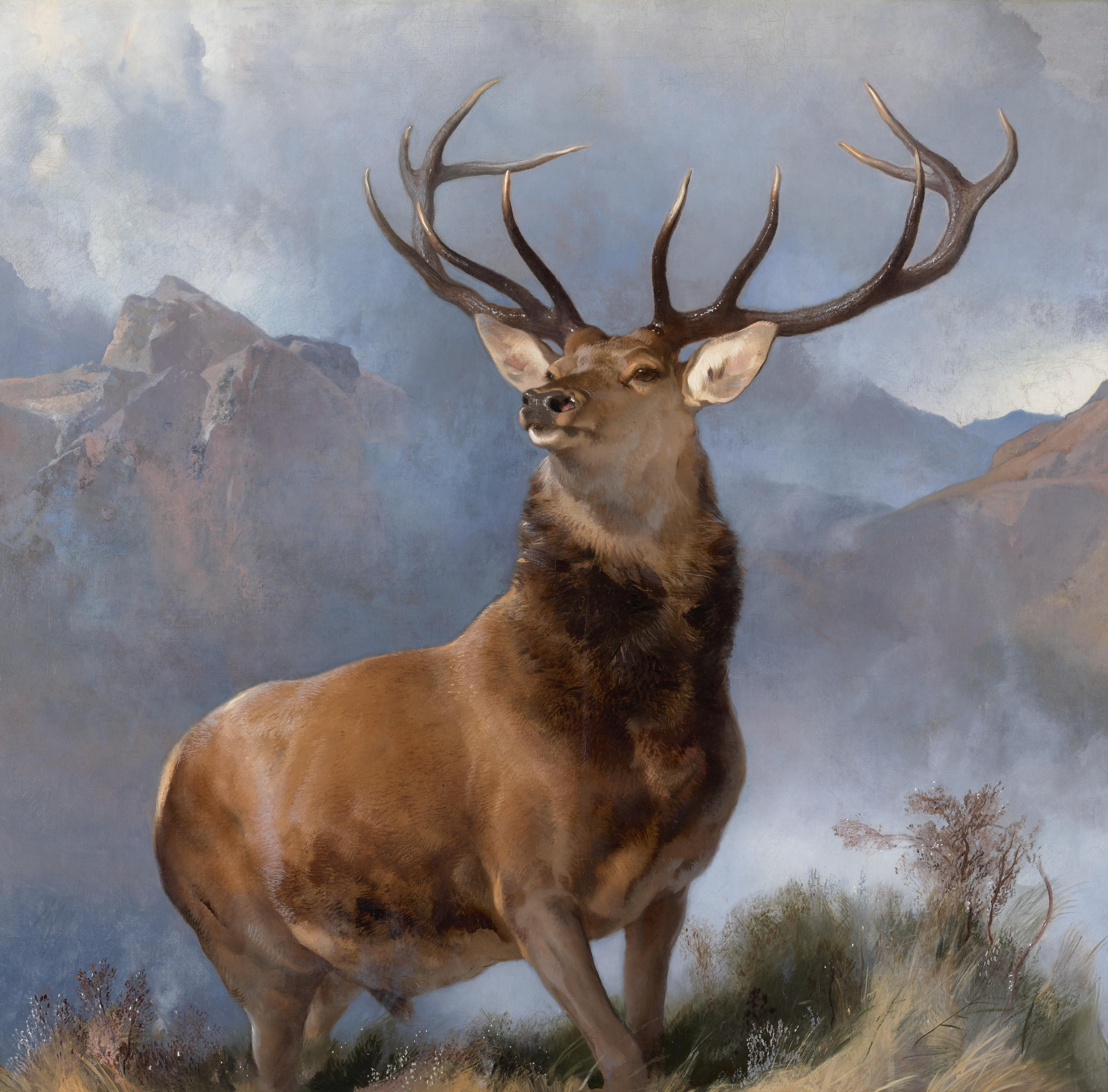 Monarch of Glen, 100x100cm