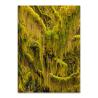 Trees VI Wall Art Print