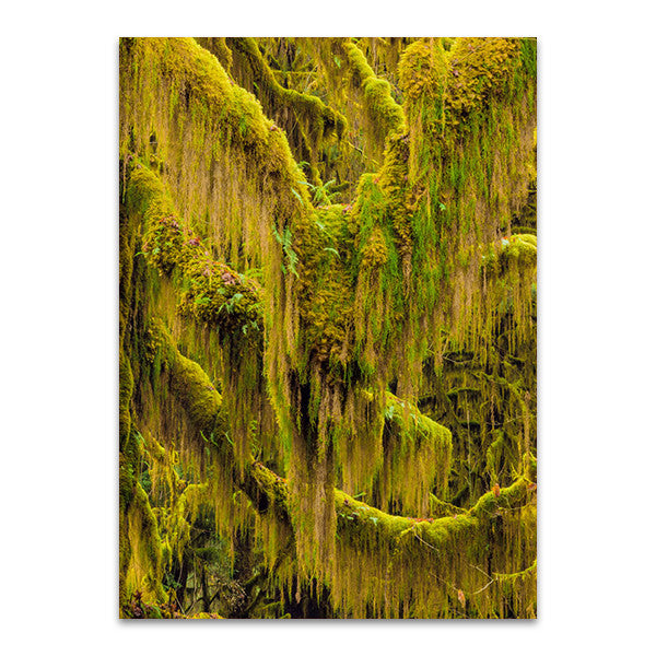 Trees VI Wall Art Print
