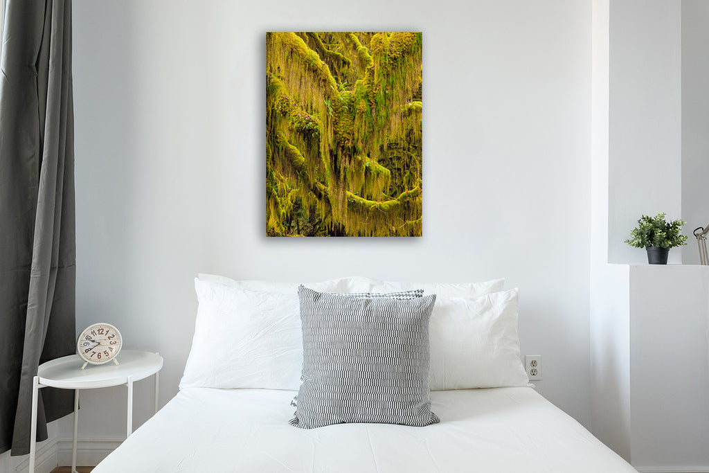 Trees VI Wall Art Print on the wall