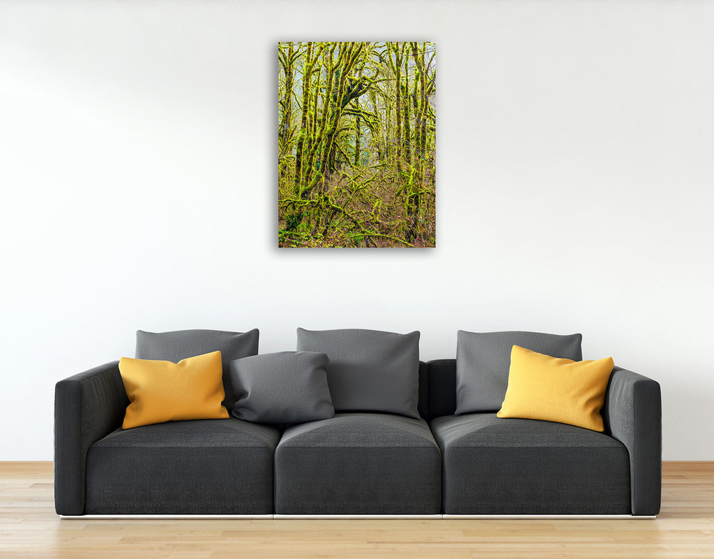 Trees V Wall Art Print on the wall