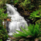 Triplet Falls Australia Wall Art Print