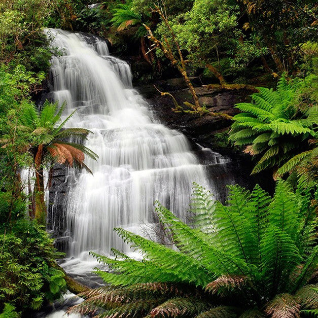 Triplet Falls Australia