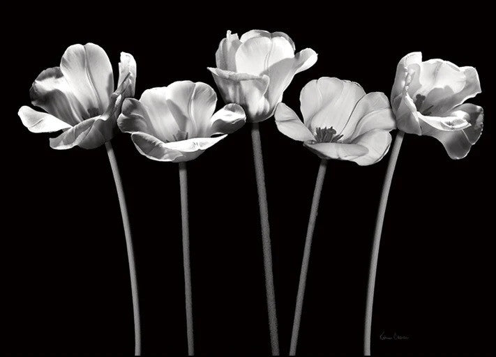 Tulips at Night Wall Art Print