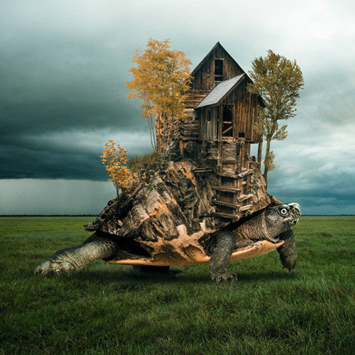 Turtle's Home Wall Art Print