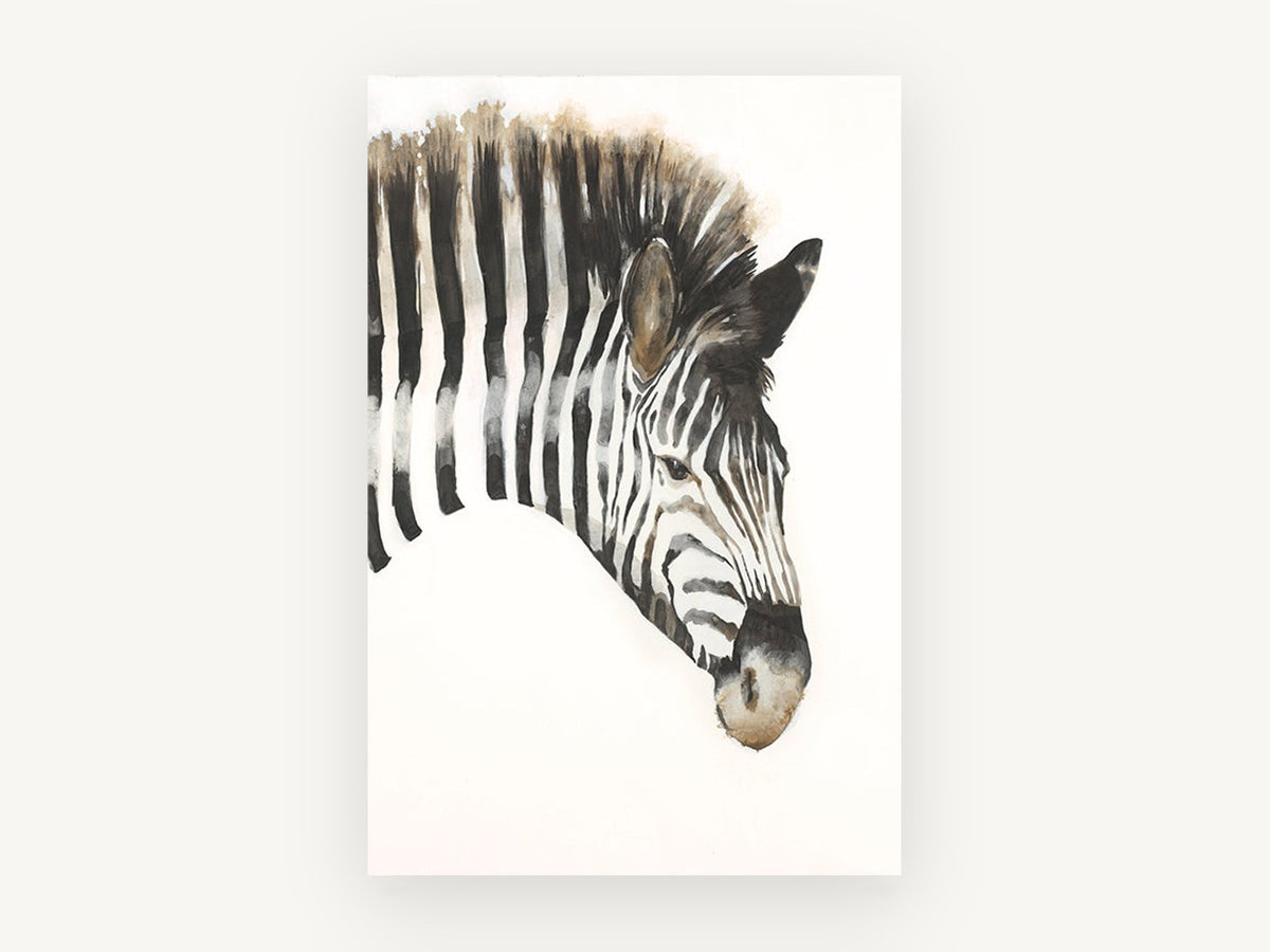 Inked Zebra Stripe Gaze, zebra head watercolour portrait, animal canvas wall art print, front view
