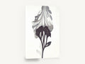 Inked Bloom Study, black and white abstract flower painting, floral canvas wall art print ready to hang
