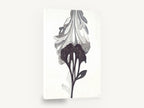 Inked Bloom Study, black and white abstract flower painting, floral canvas wall art print ready to hang