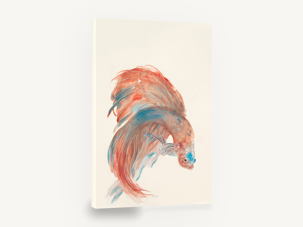 Coral Betta Study, orange betta fish watercolour, coastal canvas wall art print ready to hang