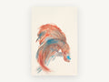 Coral Betta Study, coastal canvas wall art print, front view