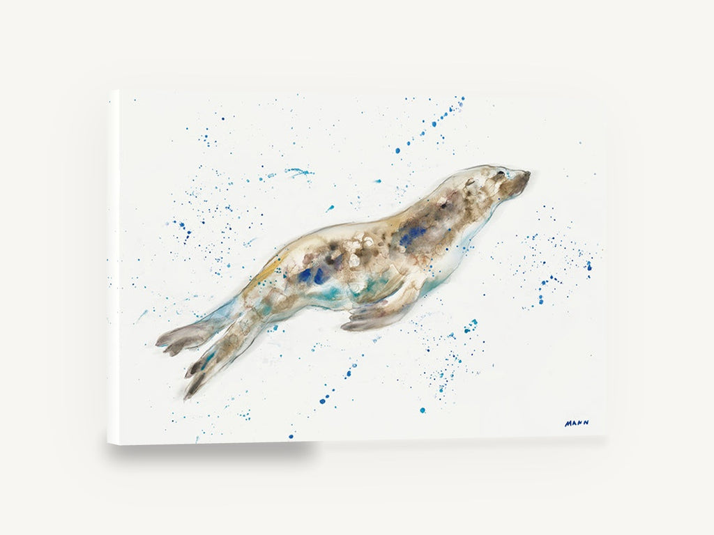 Gliding Seal Splash, swimming seal watercolour, coastal canvas wall art print ready to hang