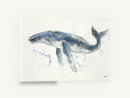 Humpback Drifting Free, humpback whale watercolour illustration, coastal canvas wall art print ready to hang