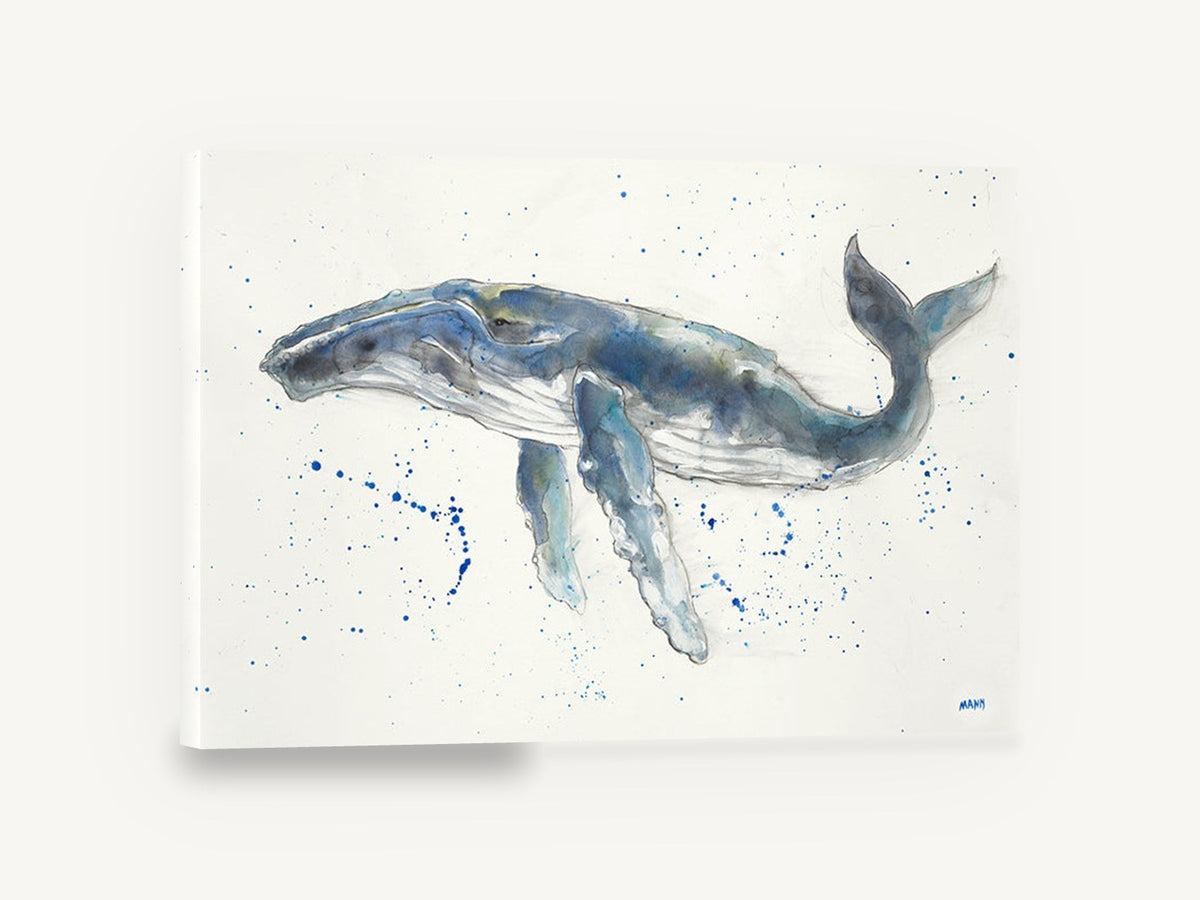 Humpback Drifting Free, humpback whale watercolour illustration, coastal canvas wall art print ready to hang
