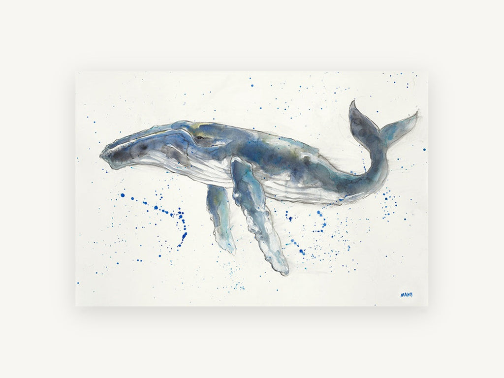 Humpback Drifting Free, coastal canvas wall art print, front view