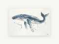 Humpback Drifting Free, coastal canvas wall art print, front view