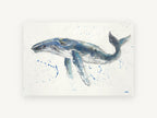 Humpback Drifting Free, coastal canvas wall art print, front view