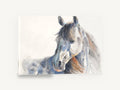 Grey Horse Turning Back, grey horse watercolour portrait, animal canvas wall art print ready to hang