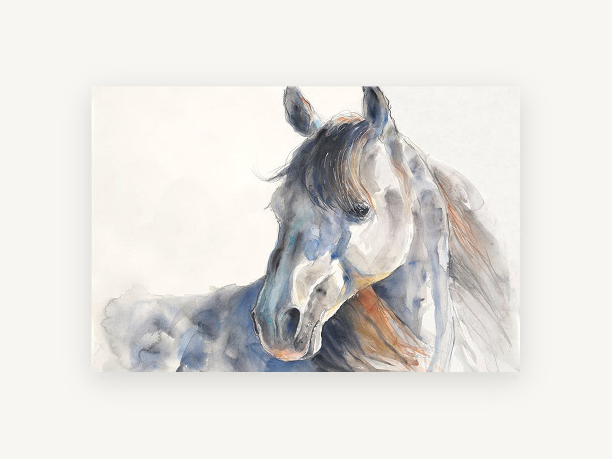 Grey Horse Turning Back, grey horse watercolour portrait, animal canvas wall art print, front view