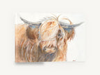 Fringe Over One Eye, highland cow watercolour portrait, animal canvas wall art print ready to hang