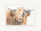 Fringe Over One Eye, highland cow watercolour portrait, animal canvas wall art print, front view