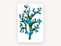 Turquoise Coral Branch, coastal canvas wall art print, front view