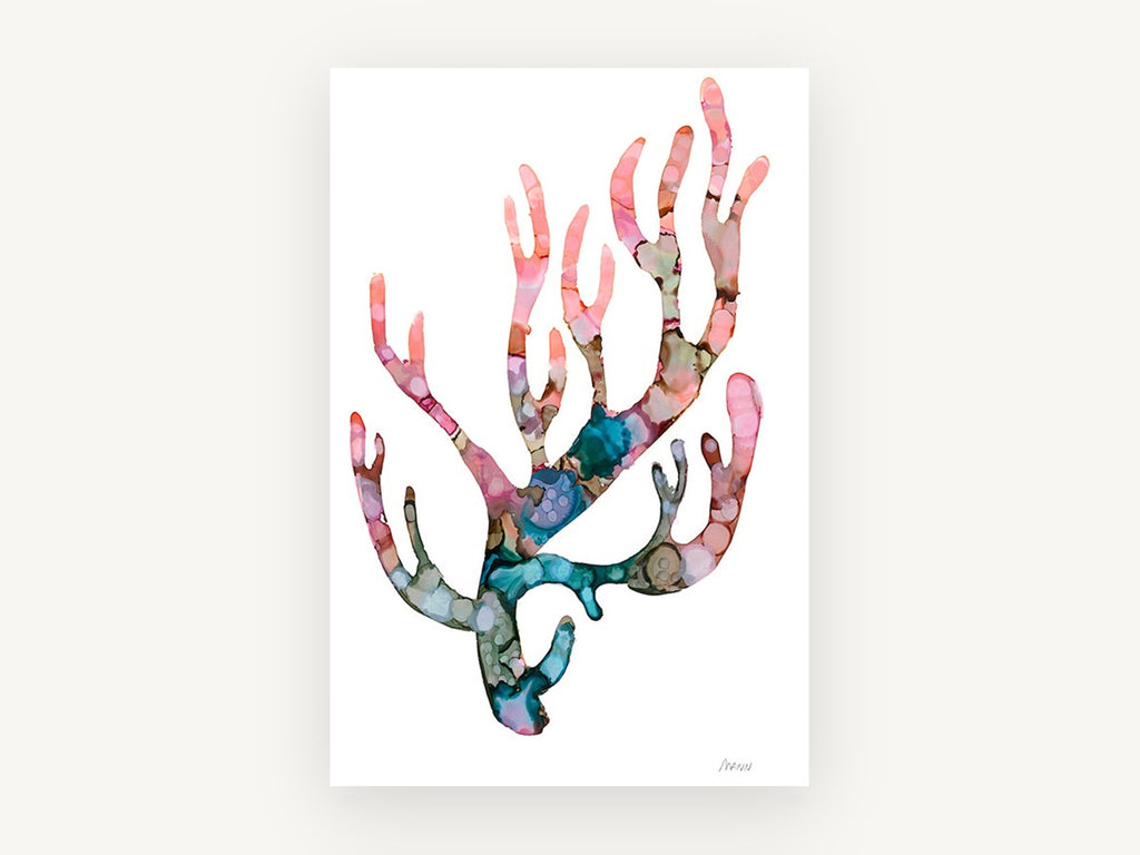 Blushing Coral Branch, coastal canvas wall art print, front view