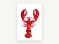 Crimson Lobster Study, coastal canvas wall art print, front view