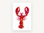 Crimson Lobster Study, coastal canvas wall art print, front view