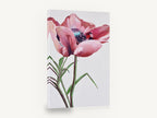 Blushing Poppy Bloom, pink poppy floral painting portrait, floral canvas wall art print ready to hang