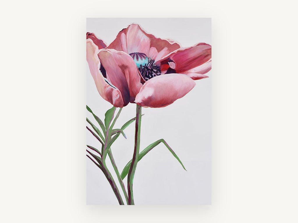 Blushing Poppy Bloom, floral canvas wall art print, front view