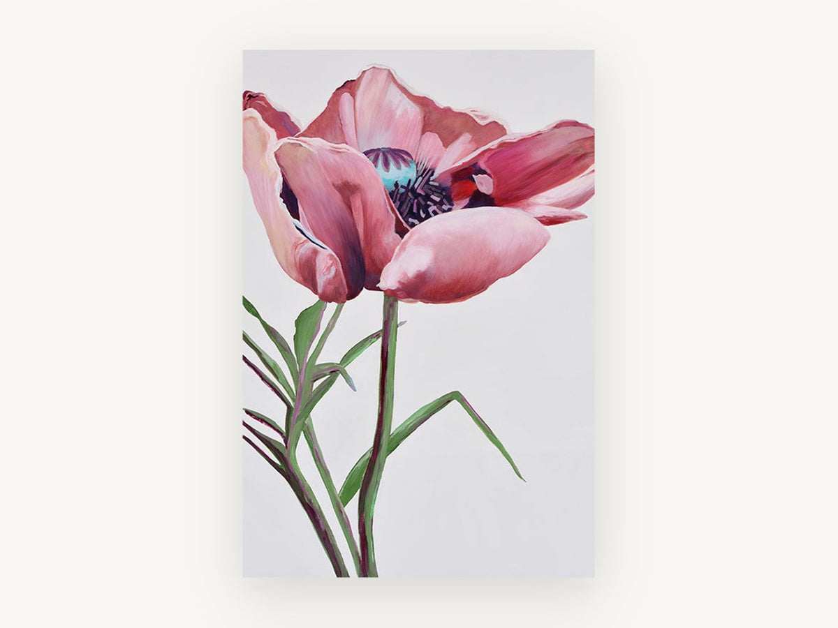 Blushing Poppy Bloom, floral canvas wall art print, front view
