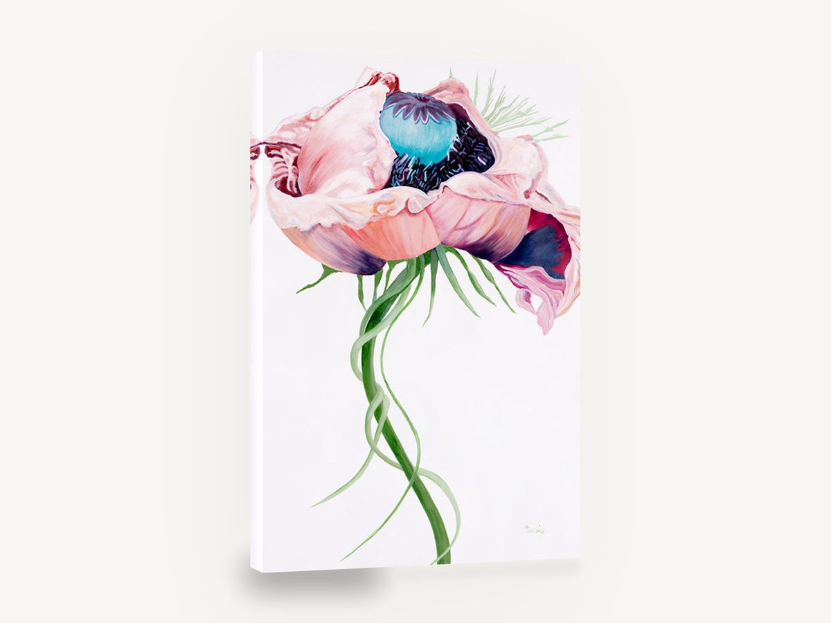 Open Pink Poppy, pink poppy flower painting portrait, floral canvas wall art print ready to hang